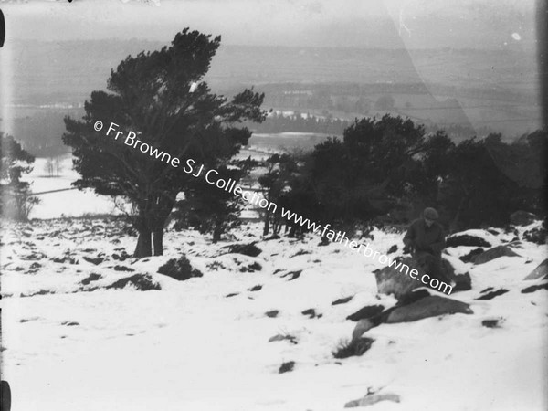 DUBLIN MOUNTAINS